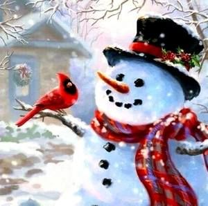 Meet your Posher, Shari